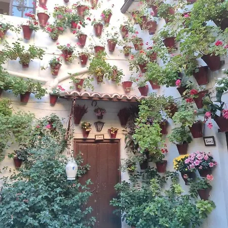 Apartman El Capricho De San Fernando, Consigna Gratis Y Parking A 200mts Córdoba