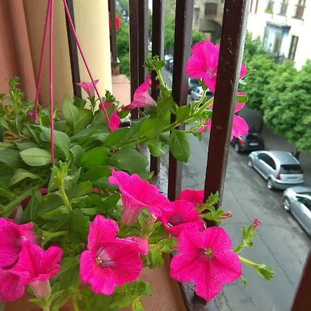 El Capricho De San Fernando, Consigna Gratis Y Parking A 200mts Appartement *