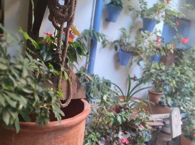 El Capricho De San Fernando, Consigna Gratis Y Parking A 200mts * Cordoba