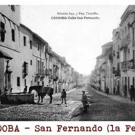 El Capricho De San Fernando, Consigna Gratis Y Parking A 200mts 公寓