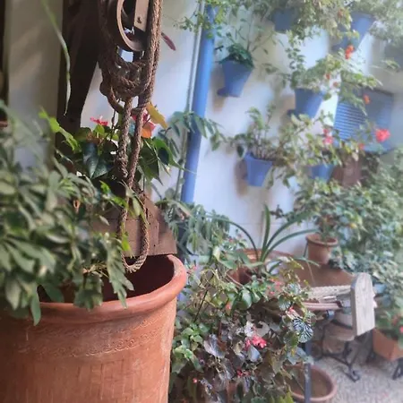 El Capricho De San Fernando, Consigna Gratis Y Parking A 200mts * Кордова
