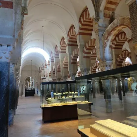 El Capricho De San Fernando, Consigna Gratis Y Parking A 200mts 아파트 *