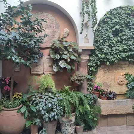 公寓 El Capricho De San Fernando, Consigna Gratis Y Parking A 200mts