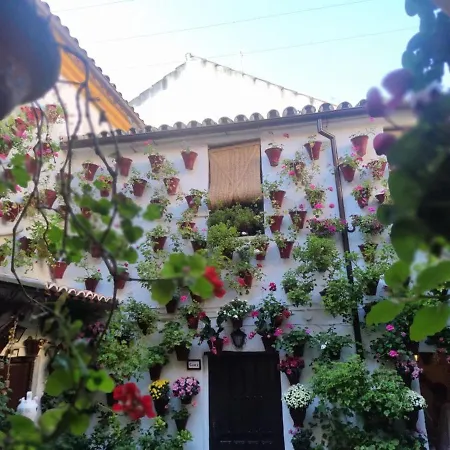 El Capricho De San Fernando, Consigna Gratis Y Parking A 200mts * 科爾多瓦