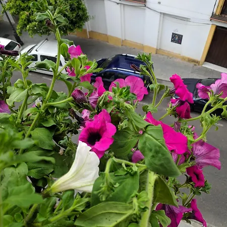 El Capricho De San Fernando, Consigna Gratis Y Parking A 200mts 科爾多瓦