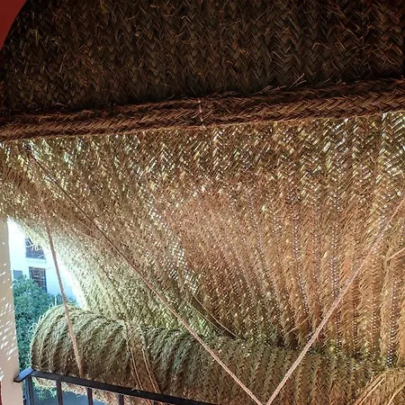 아파트 El Capricho De San Fernando, Consigna Gratis Y Parking A 200mts