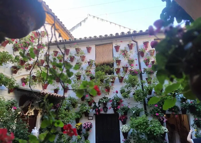 El Capricho De San Fernando, Consigna Gratis Y Parking A 200mts * 科爾多瓦