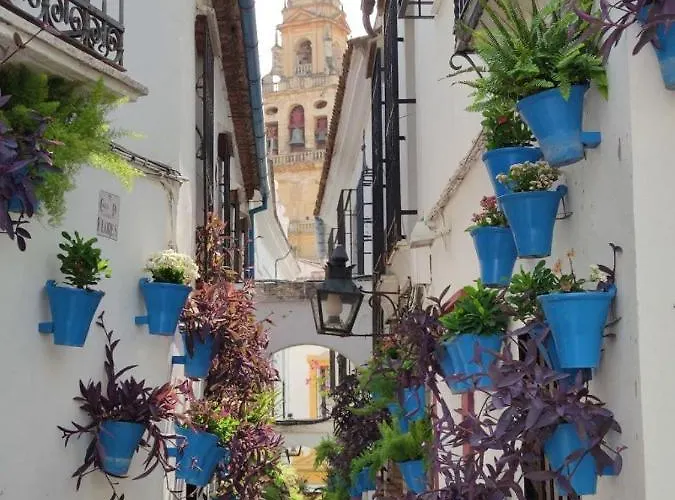 דירה El Capricho De San Fernando, Consigna Gratis Y Parking A 200mts *