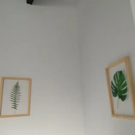 El Capricho De San Fernando, Consigna Gratis Y Parking A 200mts *