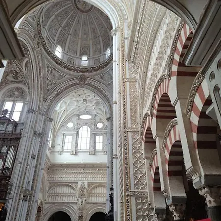 Apartment El Capricho De San Fernando, Consigna Gratis Y Parking A 200mts