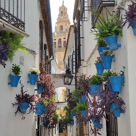 Apartment El Capricho De San Fernando, Consigna Gratis Y Parking A 200mts *