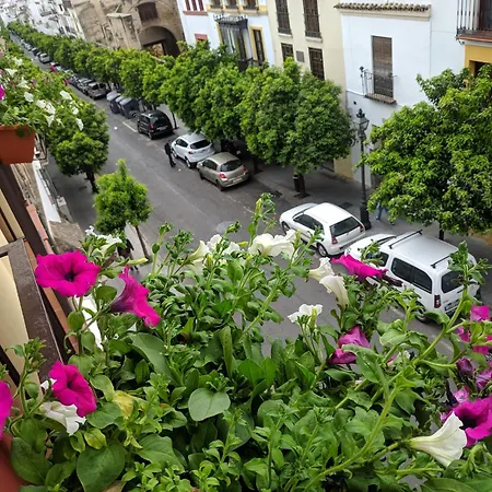 Apartment El Capricho De San Fernando, Consigna Gratis Y Parking A 200mts *