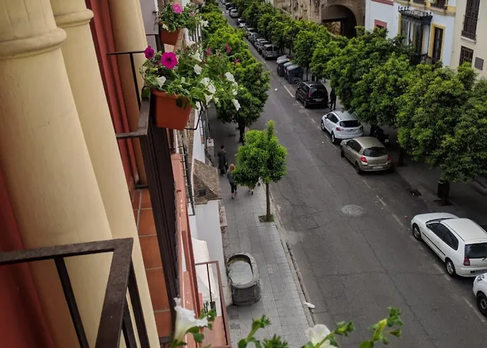 아파트 El Capricho De San Fernando, Consigna Gratis Y Parking A 200mts 코르도바