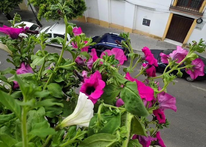 El Capricho De San Fernando, Consigna Gratis Y Parking A 200mts 코르도바